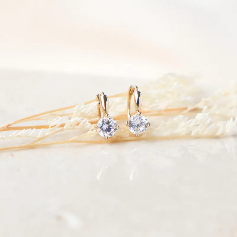 Silver Plated/恆光閃耀圈式耳環 4