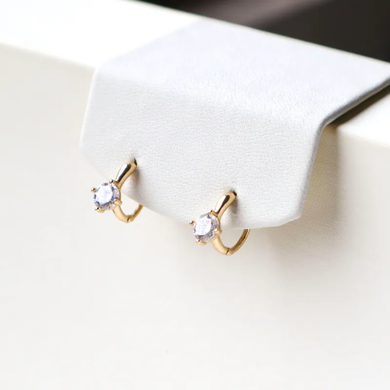 Silver Plated/恆光閃耀圈式耳環 5