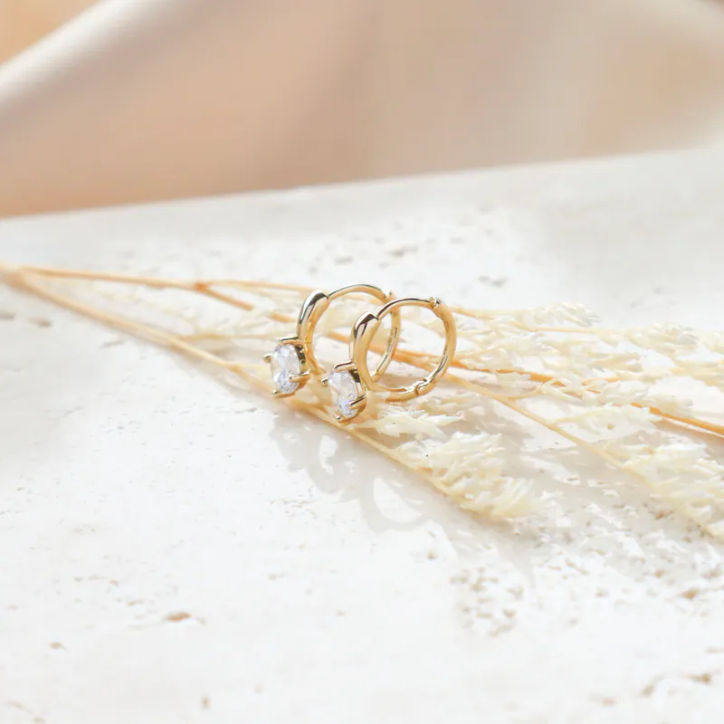 Silver Plated/恆光閃耀圈式耳環 7