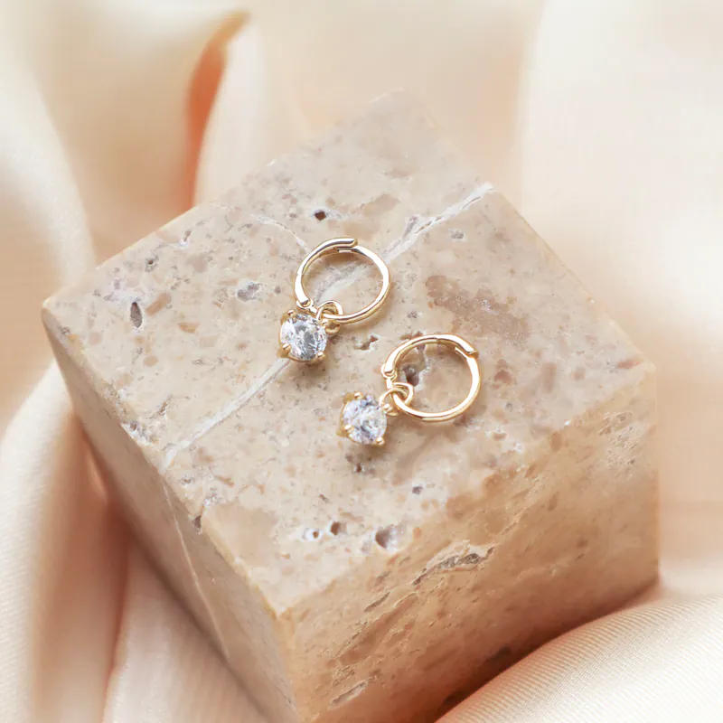 Silver Plated/經典掛鑽圈式耳環 4